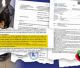 Κτηνιατρική: «Ο τρόπος διαχείρισης των νεκρών ζώων του καταφυγίου Δήμου Τρίπολης είναι σύμφωνος με την ισχύουσα νομοθεσία»