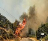 Πυροσβεστική | Μάχη σε 106 πύρινα μέτωπα – Ζητήθηκε συνδρομή από τον Ευρωπαϊκό Μηχανισμό Πολιτικής Προστασίας