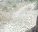 "Η Ισραηλινή Νουρίτ ολοκλήρωσε το Menalon Trail χωρίς πρόβλημα σήμανσης – χάθηκε σε αχαρτογράφητα μονοπάτια των Λαγκαδίων"