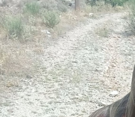 "Η Ισραηλινή Νουρίτ ολοκλήρωσε το Menalon Trail χωρίς πρόβλημα σήμανσης – χάθηκε σε αχαρτογράφητα μονοπάτια των Λαγκαδίων"