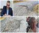 "Χώρα – Δωδεκάμετρο Γορτυνίας" | Κάτοικοι διαμαρτύρονται για επικίνδυνο δρόμο – Δέσμευση Μανδρώνη για νέο έργο το 2026