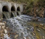 Μυλάοντας | Από ζωοδότης σε βόθρος – Πόσο ακόμα θα κάνουμε ότι δεν βλέπουμε;
