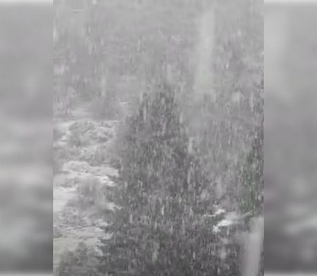 Πυκνή χιονόπτωση στο Μαίναλο | Ο Χειμώνας αρχίζει να δείχνει τα "δόντια" του! (vd)