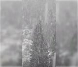 Πυκνή χιονόπτωση στο Μαίναλο | Ο Χειμώνας αρχίζει να δείχνει τα "δόντια" του! (vd)