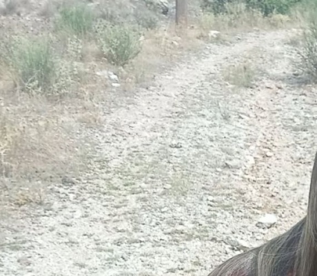 Ισραηλινή σε σοκ εντοπίστηκε δύσβατο σημείο στη Γορτυνία - Χάθηκε όταν απομακρύνθηκε από το Menalon Trail