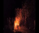 Πρωτοβουλία για την Προστασία του Κοσμά: "Τις προηγούμενες ημέρες καταγράφηκαν σοβαρά περιστατικά εκφοβισμού"