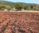 Οι ευχαριστίες του δήμου Νότιας Κυνουρίας για την αντιμετώπιση της πυρκαγιάς στον οικισμό της Άνω Βασκίνας