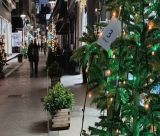 Εμπορικά καταστήματα | Ποιες Κυριακές του Δεκεμβρίου θα είναι ανοιχτά