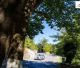 Κολλίνες Classic Rally 2026 | Θρίλερ μέχρι το τέλος – Νικητές οι Γεωργοσόπουλος – Κοντοπός (εικόνες)