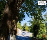 Κολλίνες Classic Rally 2026 | Θρίλερ μέχρι το τέλος – Νικητές οι Γεωργοσόπουλος – Κοντοπός (εικόνες)