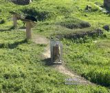 Άργος | Επίθεση αδέσποτων σκύλων σε 17χρονο κορίτσι - Σε σοβαρή κατάσταση χειρουργείται στο νοσοκομείο