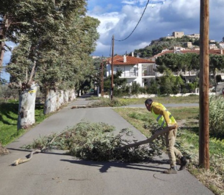 Βόρεια Κυνουρία | Έπεσαν δένδρα και κλαδιά από τους ισχυρούς ανέμους (εικόνες)