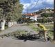 Βόρεια Κυνουρία | Έπεσαν δένδρα και κλαδιά από τους ισχυρούς ανέμους (εικόνες)