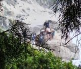 Σοκ | Άνδρας πνίγηκε όταν παρασύρθηκε από τα τεράστια κύματα στην παραλία Κάθισμα της Λευκάδας (vd)