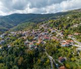 Στο Καστρί η κοπή πίτας του ΣΑΟΟ