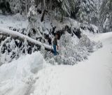 "Μάχη" μέσα στα χιόνια για να παραμείνουν ανοιχτοί οι δρόμοι στη Γορτυνία (vd)