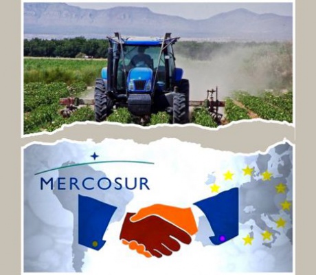 Από χώρα παραγωγό σε χώρα εισαγωγέα | Το αθόρυβο τέλος του πρωτογενούς τομέα στην Ελλάδα