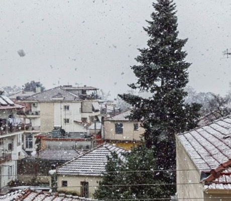 «Χειμωνιάτικο σκηνικό στην Τρίπολη | "Χιονόνερο ή χιόνι την Τρίτη, βροχές την Τετάρτη"