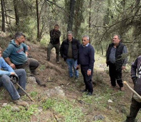 Κώστας Τζιούμης: «Θωρακίζουμε τους οικισμούς μας απέναντι στον κίνδυνο δασικών πυρκαγιών” (vd)