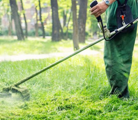 Δήμος Γορτυνίας | Αντιπυρική Περίοδος - Υποχρεωτικός καθαρισμός οικοπέδων και δήλωση στο Μητρώο