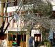 Δωρεά για το Κέντρο Υγείας Τροπαίων