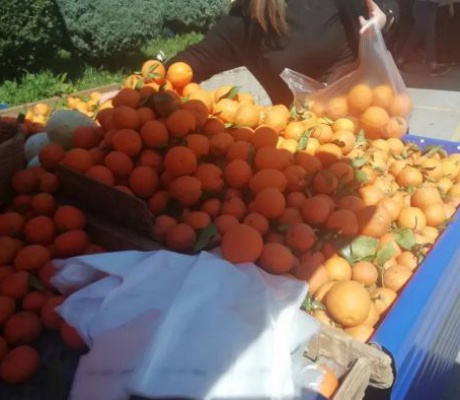 Την Τρίτη θα λειτουργήσει η λαϊκή αγορά της πλατείας Μαντινείας