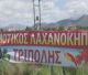 Ξεκινά τη λειτουργία του ο Δημοτικός Λαχανόκηπος Τρίπολης
