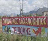 Ξεκινά τη λειτουργία του ο Δημοτικός Λαχανόκηπος Τρίπολης