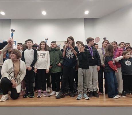 Διακρίσεις και πρωτιές για μαθητές και μαθήτριες από σχολεία της Αρκαδίας στους Ομαδικούς Αγώνες Σκάκι (εικόνες)