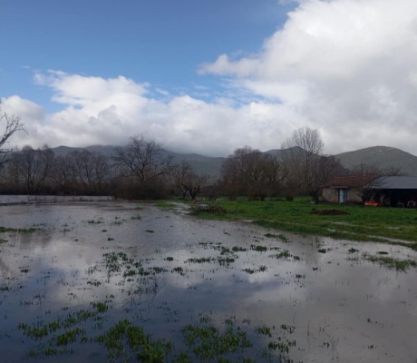 Σοβαρή υπερχείλιση του ποταμού Τράγου (εικόνες - βίντεο)