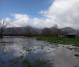 Σοβαρή υπερχείλιση του ποταμού Τράγου (εικόνες - βίντεο)