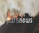 Μεγάλη αναζωπύρωση το πύρινο μέτωπο της Ηλείας