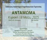 Αντάμωμα στο Αγριδάκι Γορτυνίας