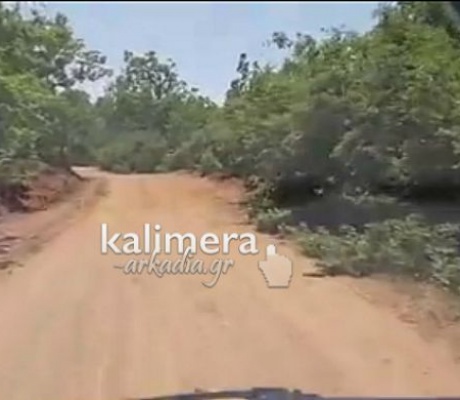 Τι συμβαίνει στο Δάσος της Κάπελης;