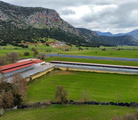 Ο Δήμος Τρίπολης εξασφάλισε την άδεια λειτουργίας του Καταφυγίου Αδέσποτων Ζώων!