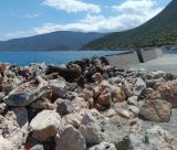 Μάκαρης - Φαράντος: "Το Λεωνίδιο χρειάζεται σύγχρονο λιμάνι, όχι εγκατάλειψη" (vd)