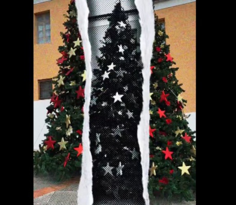 Στολίστηκε το Χριστουγεννιάτικο Δένδρο στο Λεωνίδιο (vd)