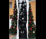 Στολίστηκε το Χριστουγεννιάτικο Δένδρο στο Λεωνίδιο (vd)