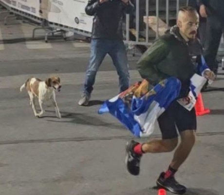Σπάρταθλον 2026 | Σκυλίτσα από τη Νεστάνη ακολούθησε αθλητή για περίπου 100 χιλιόμετρα! (vd)