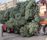 Την Πέμπτη το άναμμα του Χριστουγεννιάτικου Δένδρου στην Τρίπολη!