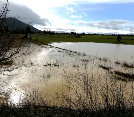 Πλημμύρες στον Μαντινειακό κάμπο από τις έντονες βροχοπτώσεις (εικόνες)