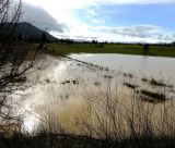 Πλημμύρες στον Μαντινειακό κάμπο από τις έντονες βροχοπτώσεις (εικόνες)