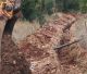 Νέο έργο στην Κανδύλα | Κώστας Τζιούμης: ﻿«Στεκόμαστε δίπλα στους κτηνοτρόφους μας»