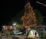 Φωταγωγήθηκε το Χριστουγεννιάτικο δένδρο στην Κανδήλα (vd)