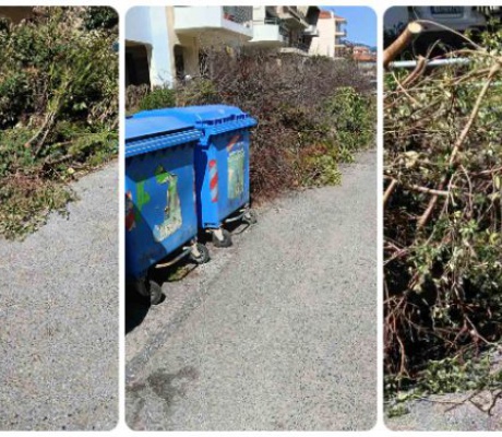 «Σεβόμαστε το περιβάλλον – Δεν εναποθέτουμε κλαδιά σε δημόσιους χώρους»