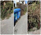 «Σεβόμαστε το περιβάλλον – Δεν εναποθέτουμε κλαδιά σε δημόσιους χώρους»