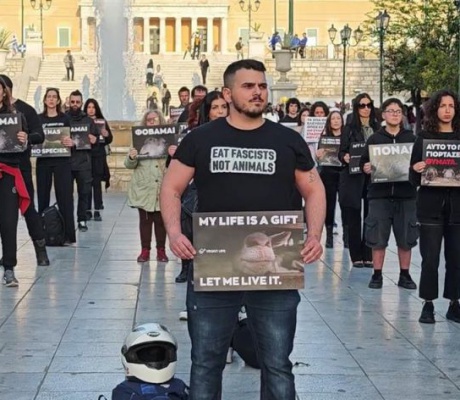 "Πάνω από 2 εκατομμύρια ζώα σφάζονται μόνο για την Κυριακή του Πάσχα"