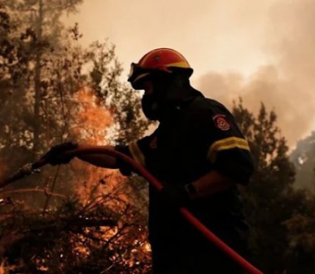 Περίπου 5 στρέμματα έκαψε η πυρκαγιά στον Κοσμά Αρκαδίας
