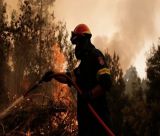 Περίπου 5 στρέμματα έκαψε η πυρκαγιά στον Κοσμά Αρκαδίας