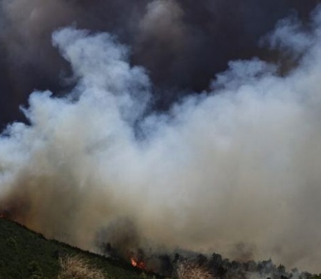 Δολιανίτης: "Fake η είδηση για πυρκαγιά στο Λεωνίδιο - Δεν κινδύνευσε ο Βιολογικός - Ήταν ελεγχόμενη καύση κλαδιών, με την άδεια της Πυροσβεστικής"!